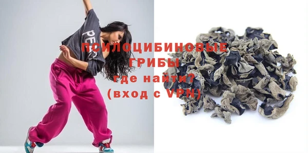 гидра Новодвинск