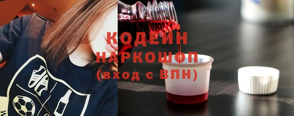 СК Новозыбков