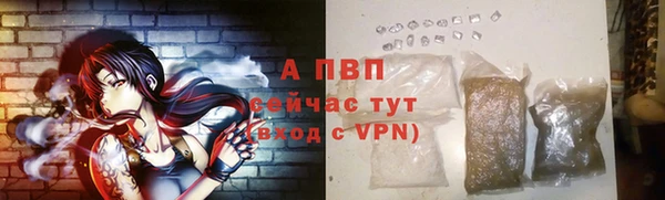 гидра Новодвинск