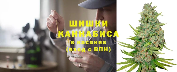 гидра Новодвинск