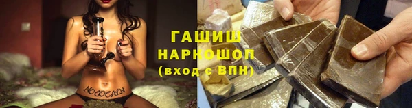 СК Новозыбков