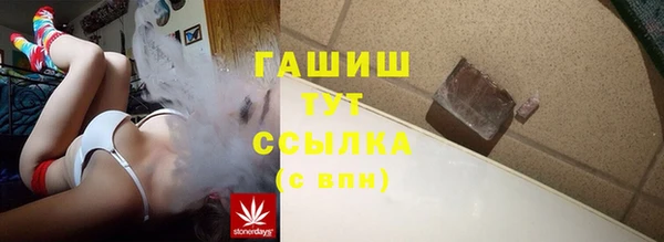 СК Новозыбков
