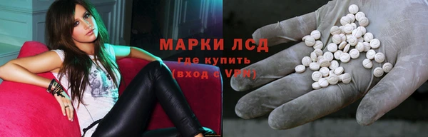 гидра Новодвинск