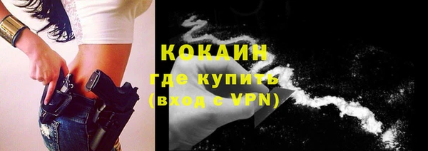 гидра Новодвинск