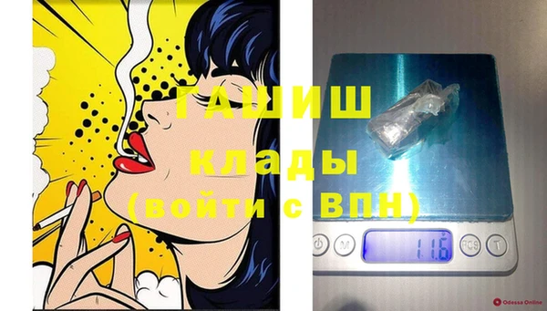 СК Новозыбков