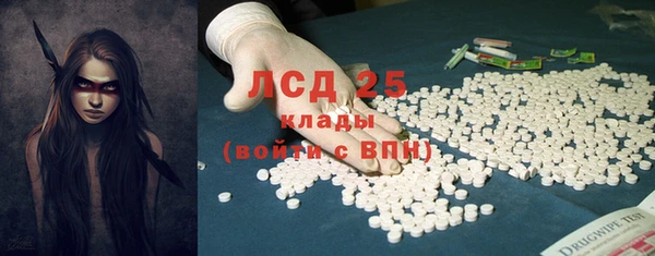 гидра Новодвинск