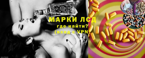 гидра Новодвинск