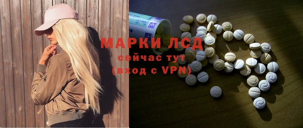 гидра Новодвинск