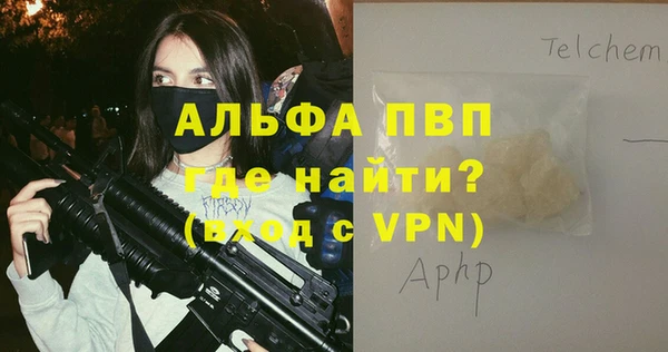 гидра Новодвинск