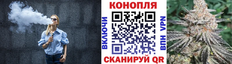 Бошки марихуана ГИДРОПОН  как найти наркотики  Красноярск 